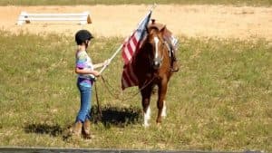 Democracy: The Winning Horse